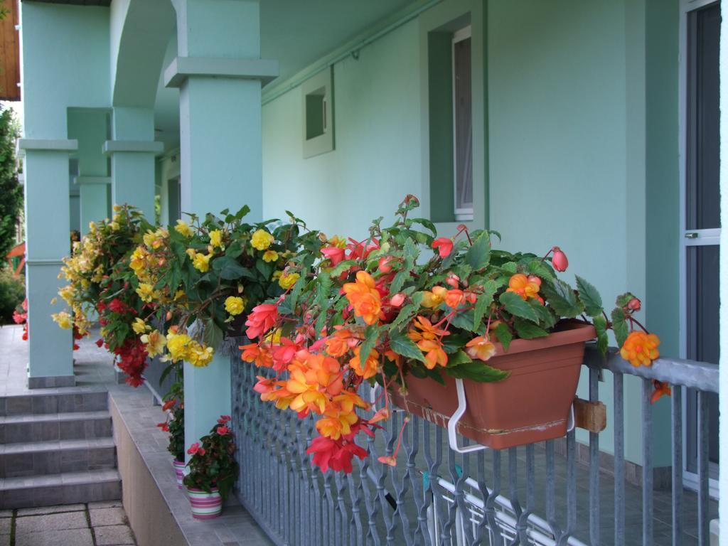 Rajna Apartmanhaz Богач Экстерьер фото