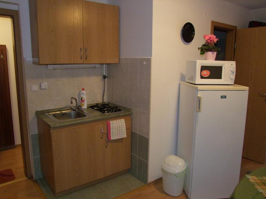 Rajna Apartmanhaz Богач Номер фото